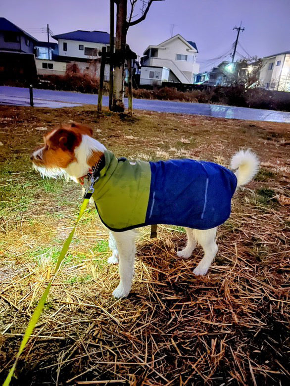 おこげ