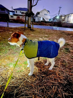 おこげ