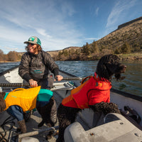 Dogs in a boat