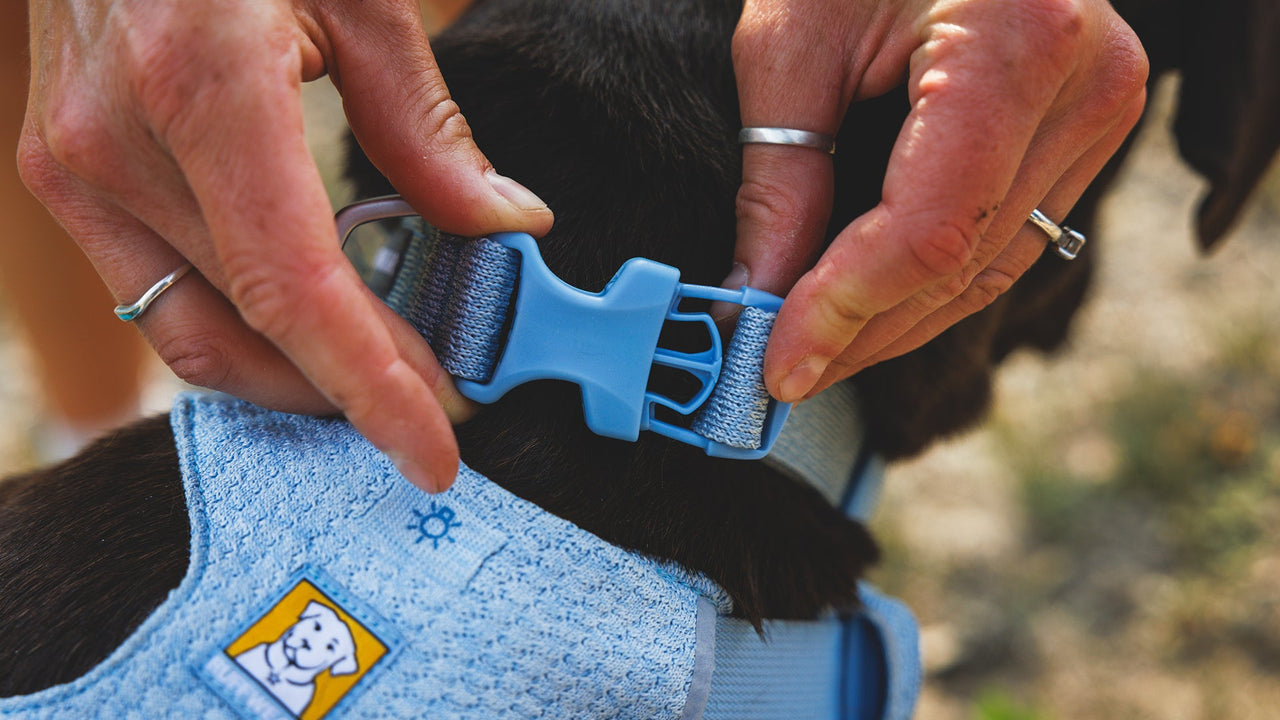 耐久性の高いバックル