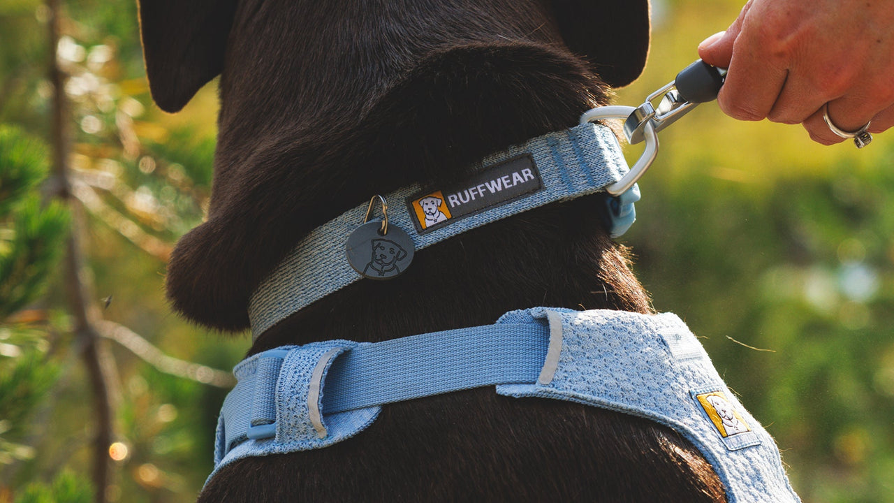 確実で強固な接続