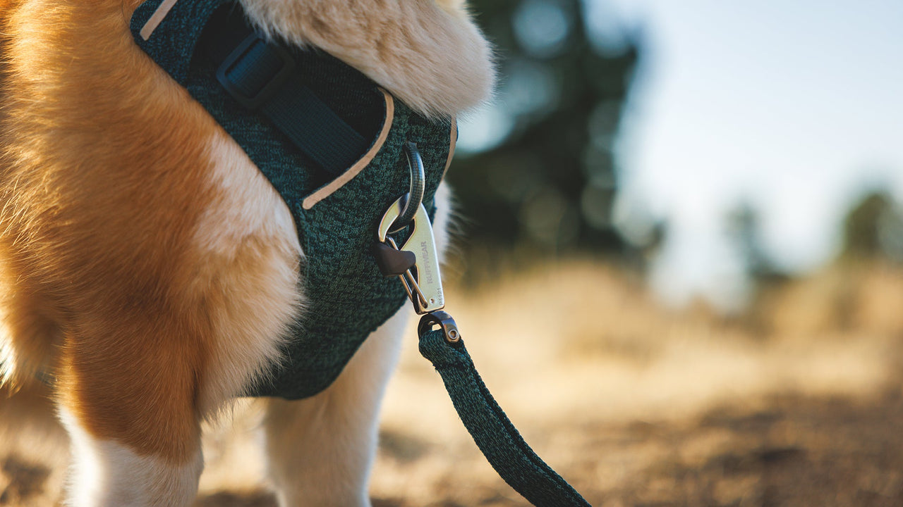 軽量かつ高強度