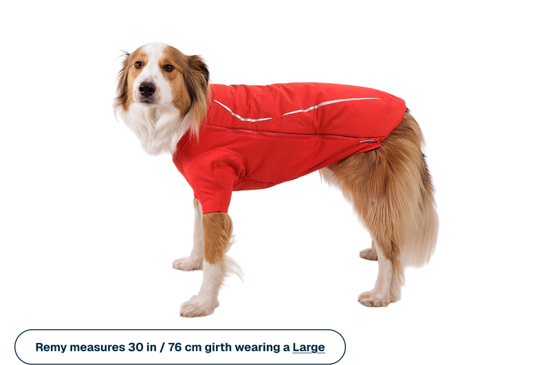 Group_8317.png?v=1785804910