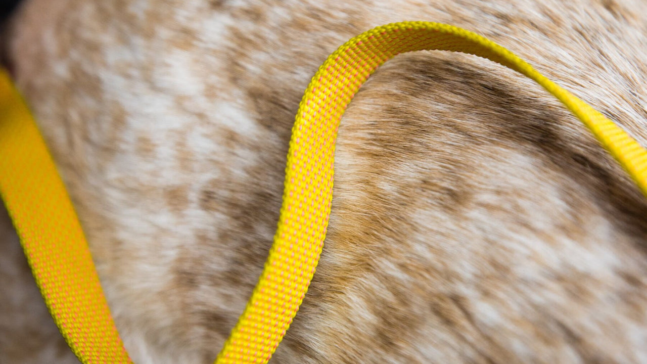 軽くて丈夫なウェビング