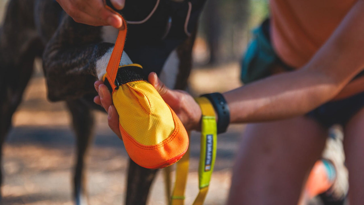 面ファスナー式のクロージャー