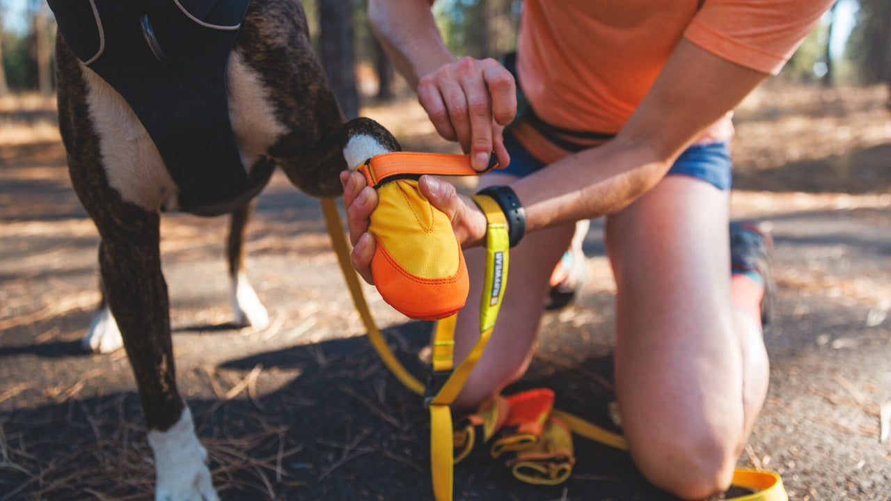 広い開口部で着脱が簡単