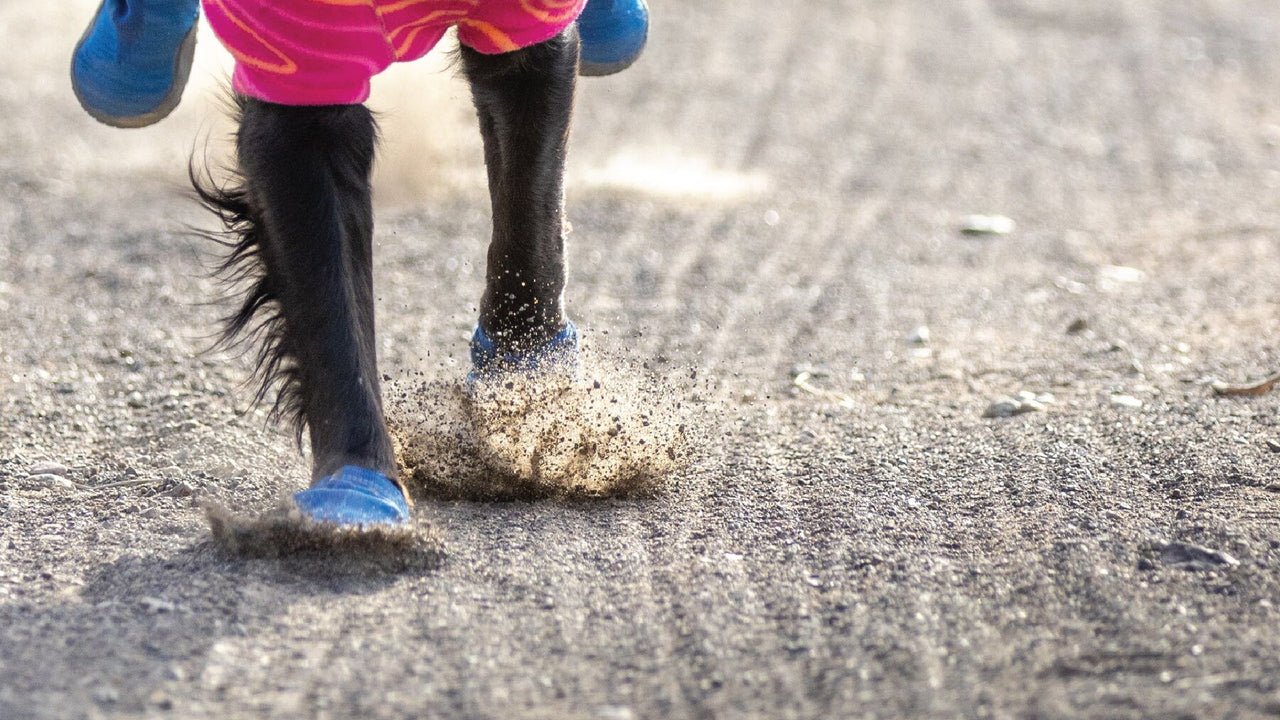 軽くて通気性抜群