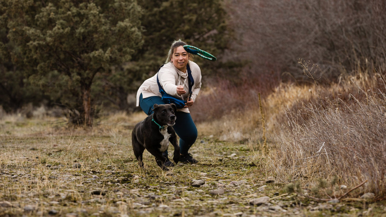 投げる、フェッチする、引っ張る