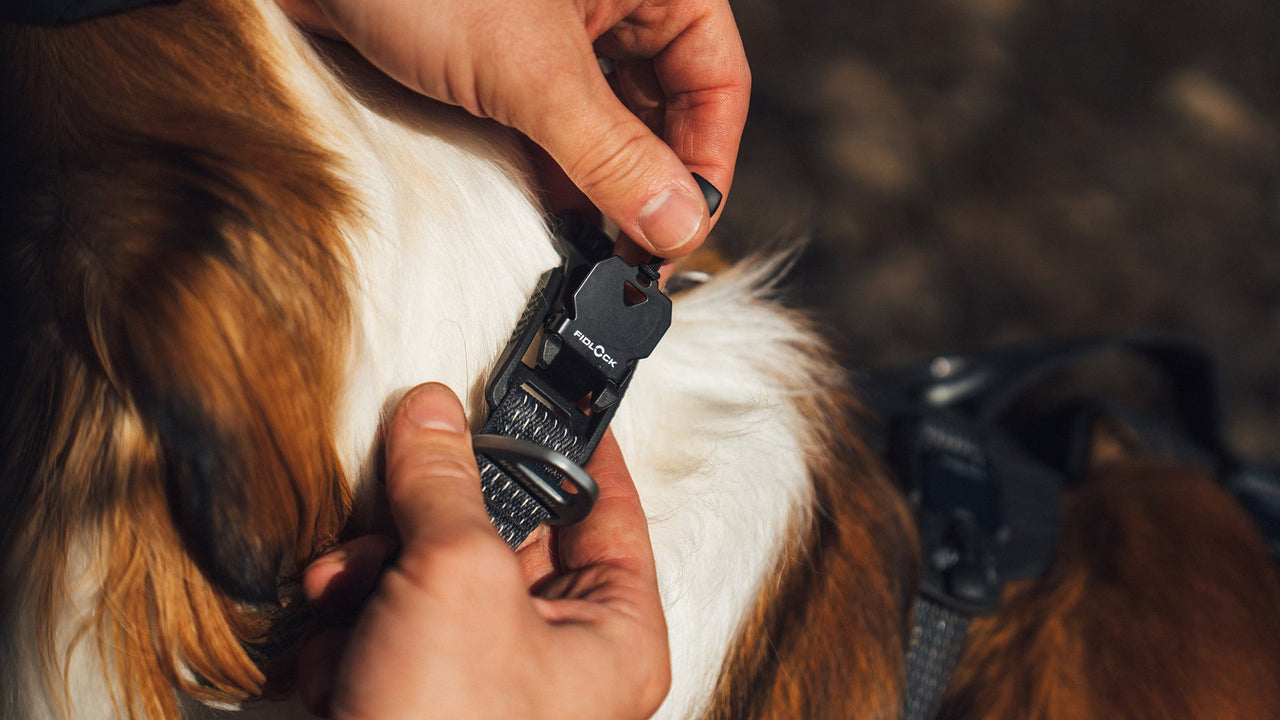 Fidlock社製マグネティックバックル