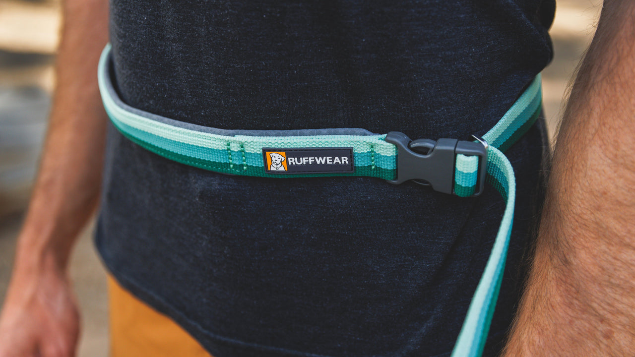 手持ちまたはハンズフリー