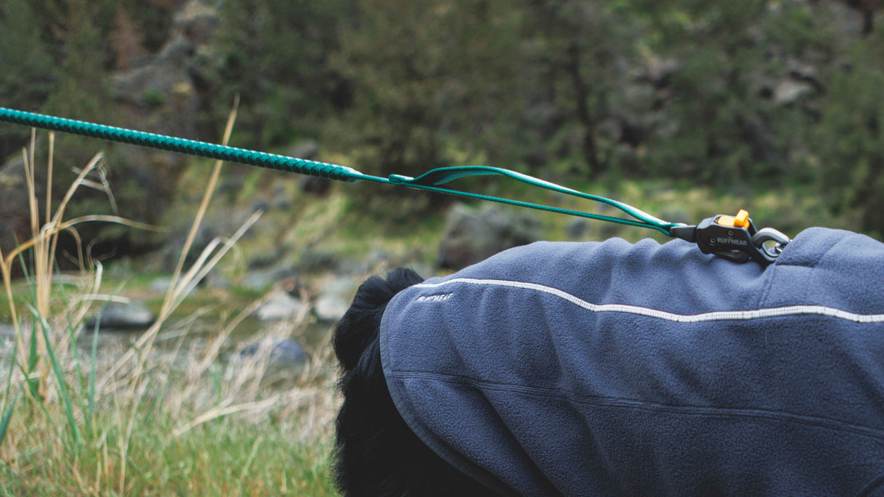 ストレッチウェビング