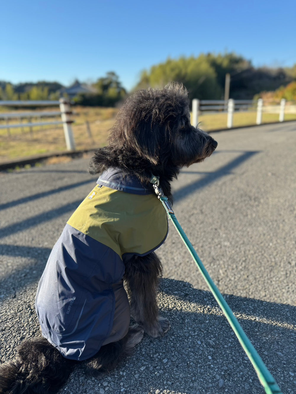 【着用レビュー】8ヶ月、18kgのミックス🐶アポロちゃん🦴サンシャワーカバーオール