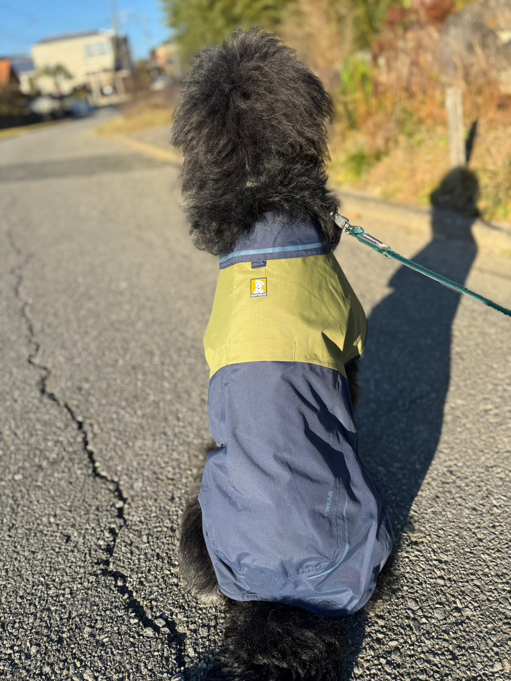 【着用レビュー】8ヶ月、18kgのミックス🐶アポロちゃん🦴サンシャワーカバーオール