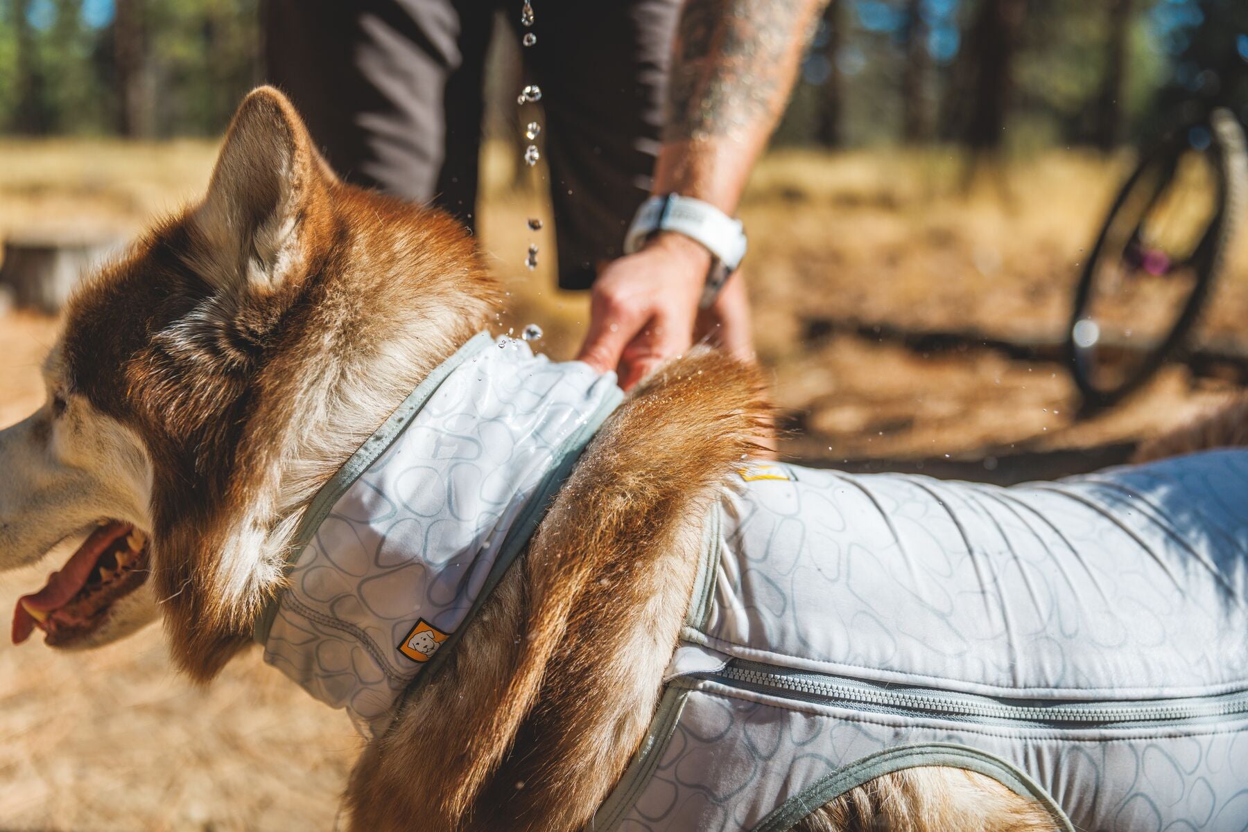 スワンプクーラーネックゲーター | Ruffwear JAPAN