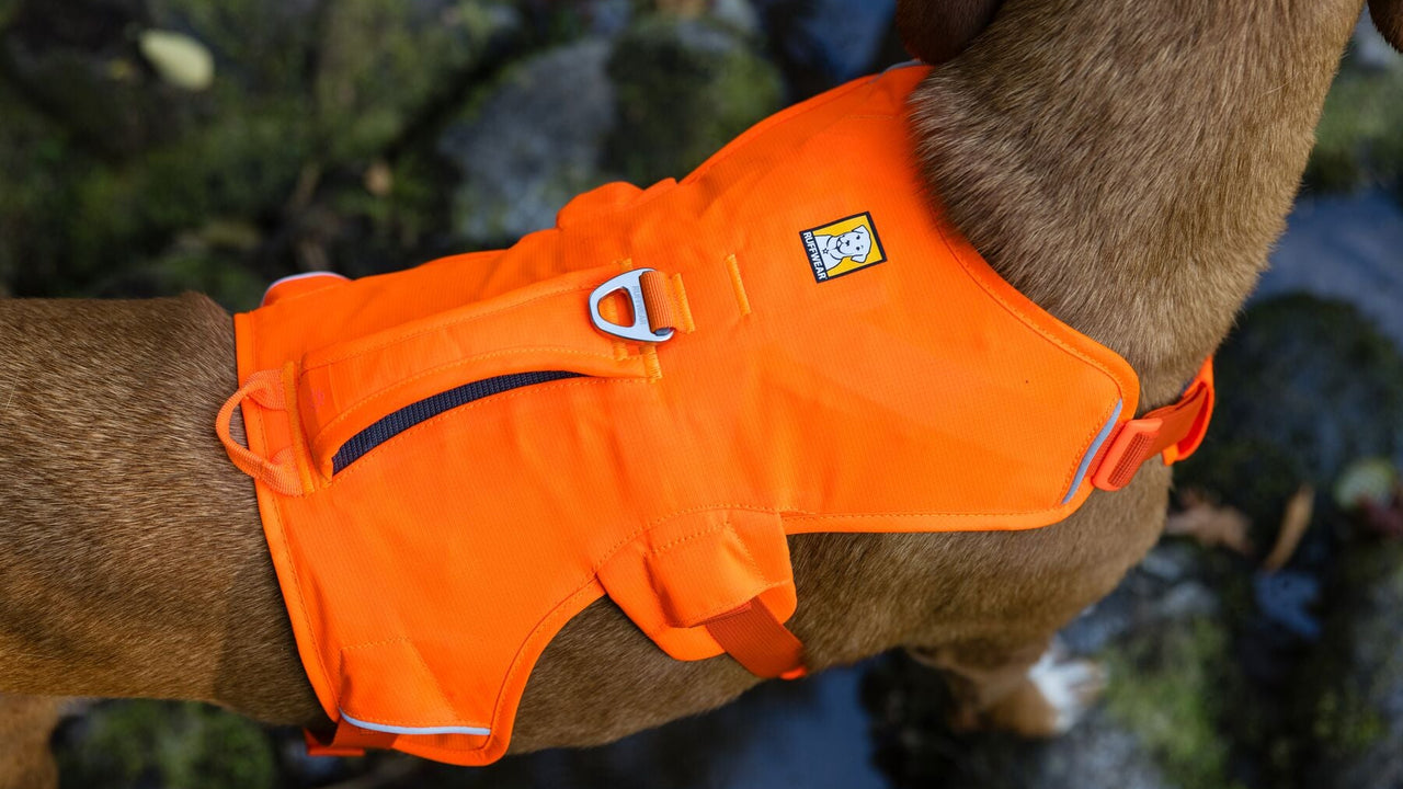 ２つのリーシュ取り付けポイント