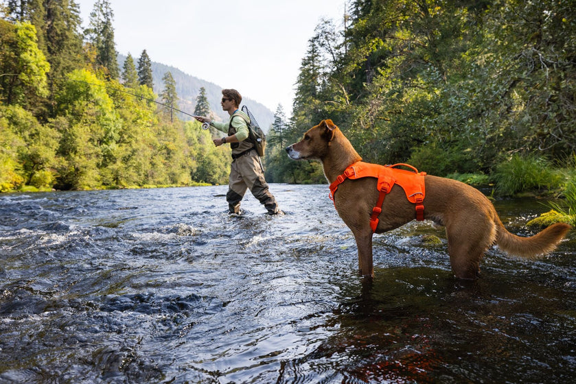 概要：ウェブマスターハーネス Video Thumbnail