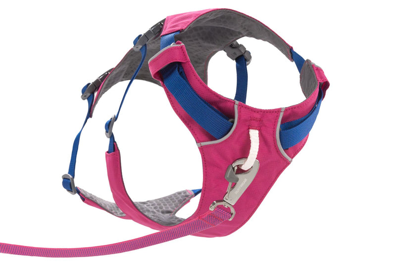 Alpenglow Pink
