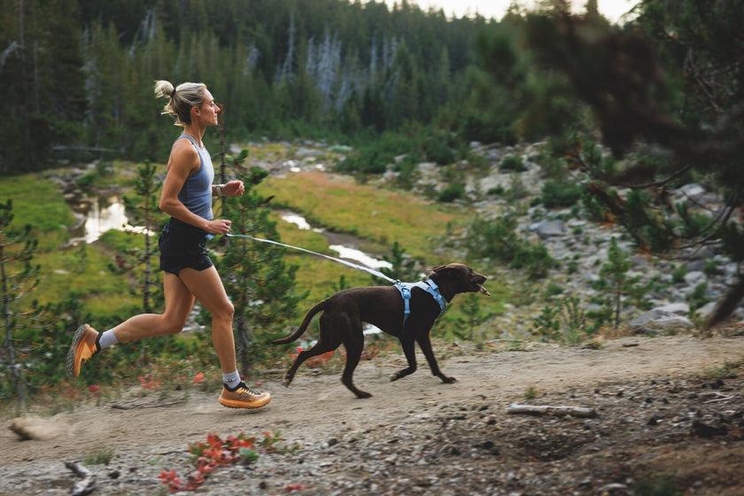 フロントレンジフレックスリーシュについて Video Thumbnail