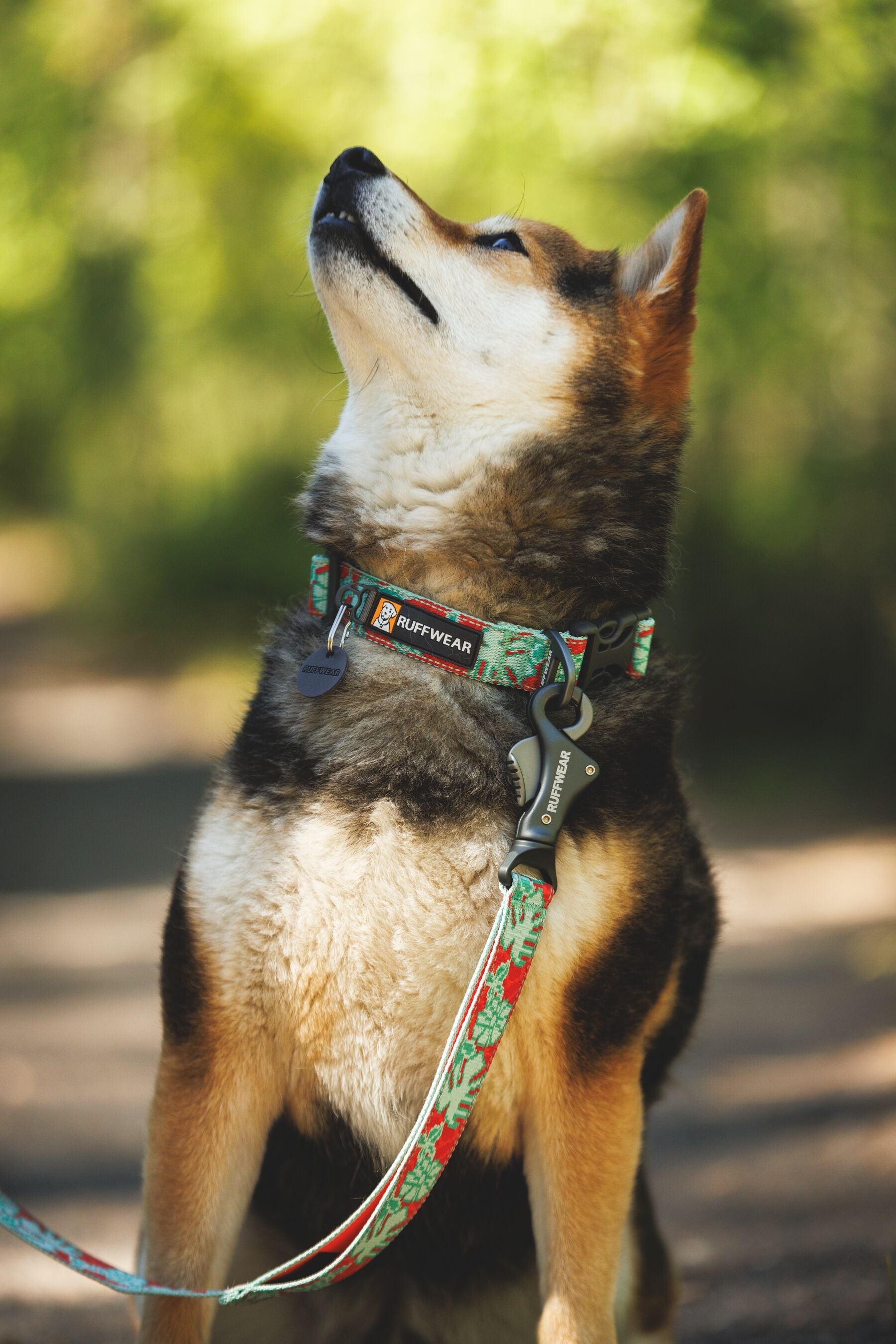 クラッグカラー | Ruffwear JAPAN