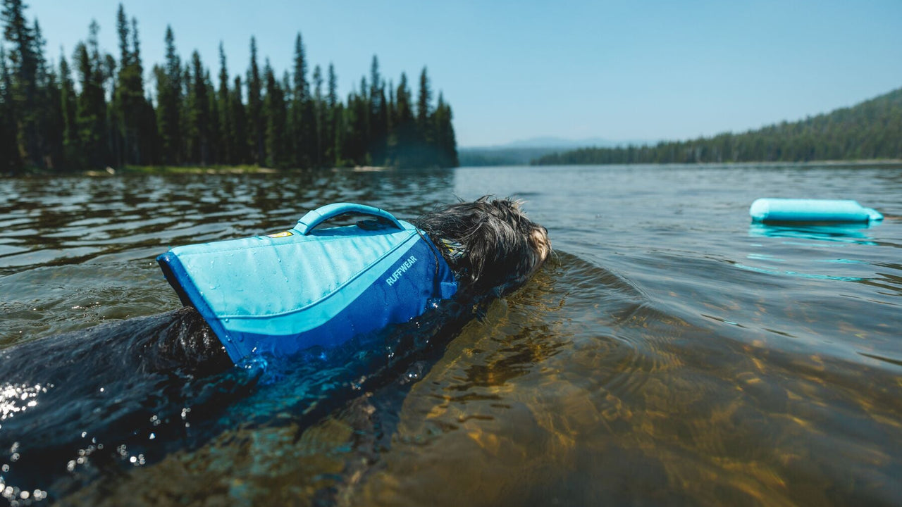 自然なスイミングポジション