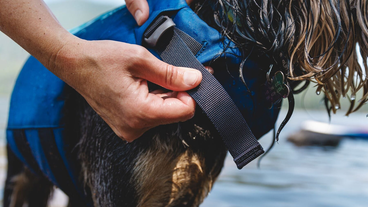 調節可能なネッククロージャー