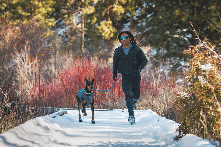 サミットトレックスドッグシューズについて Video Thumbnail