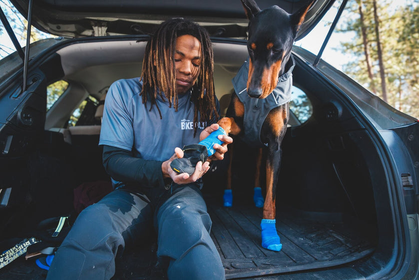 バーキンブーツドッグソックスについて Video Thumbnail