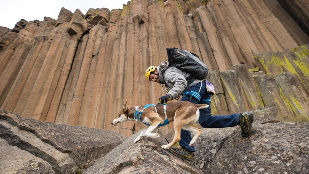 フラッグラインハーネスについて Video Thumbnail