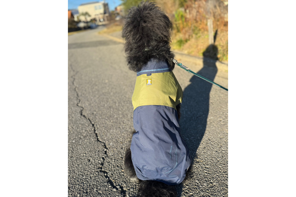 18kg 女の子 アポロちゃん | ミックス🐶サンシャワーカバーオール