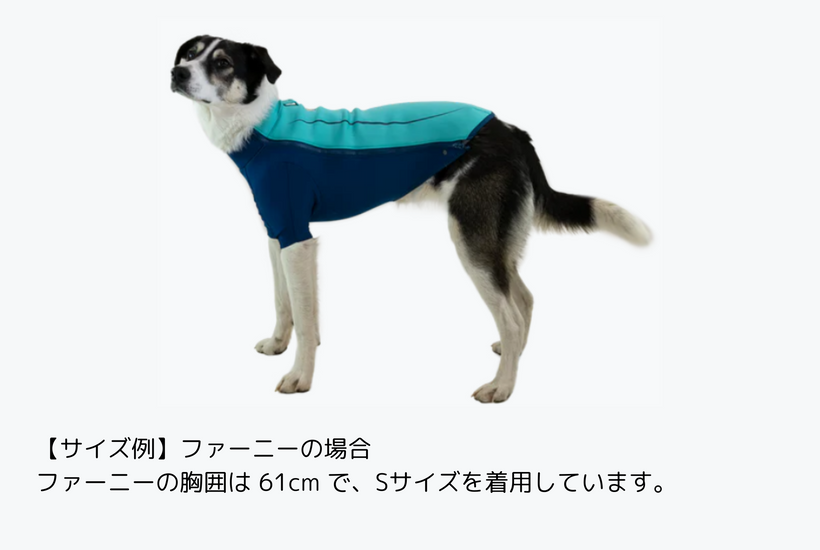 ラウラフェリーチェ テーラードジャケット トリコロール 紺 L アンダーコートジャケット | 犬用ウェットスーツ | Ruffwear JAPAN