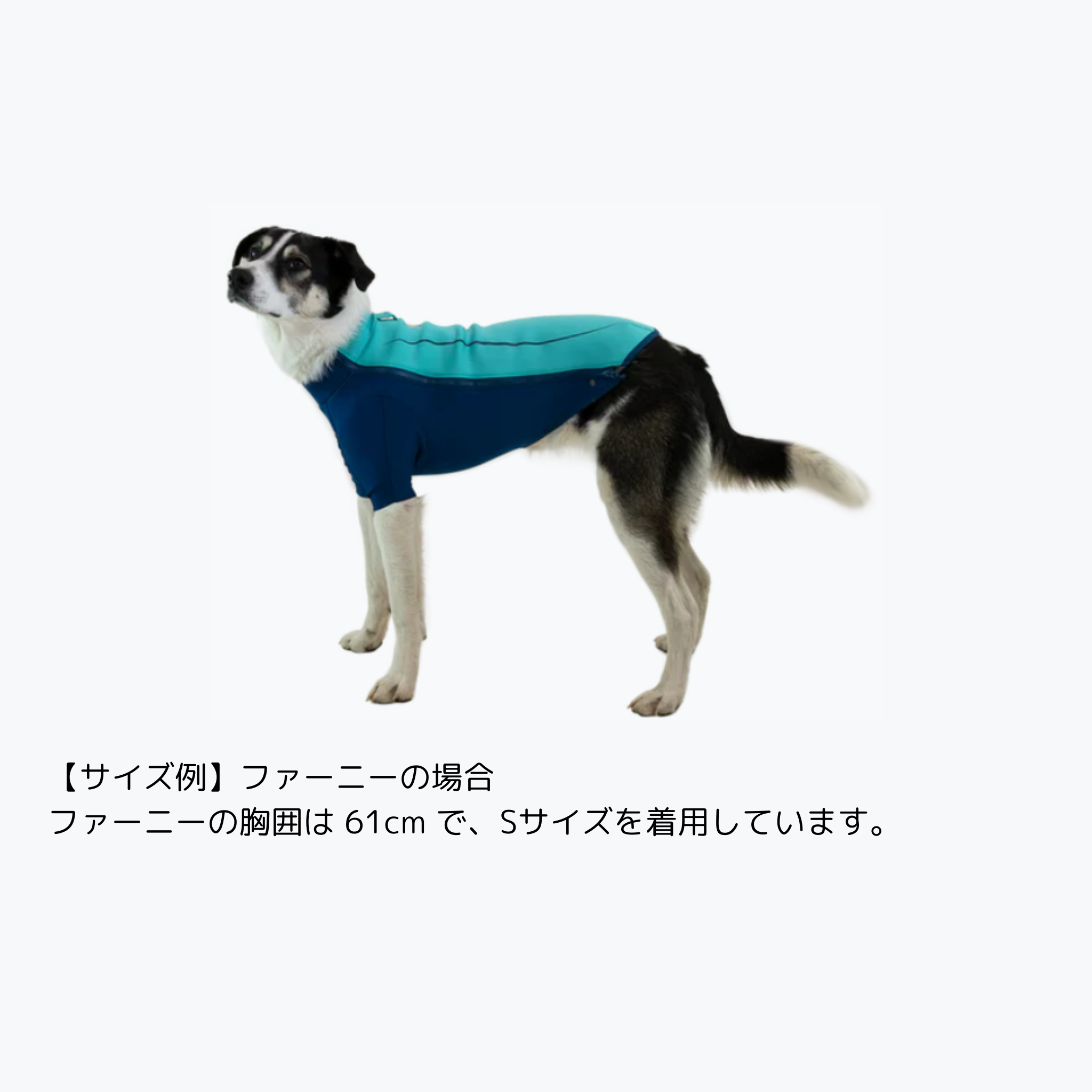 アンダーコートジャケット | 犬用ウェットスーツ | Ruffwear JAPAN アンダーコートジャケット | 犬用ウェットスーツ | Ruffwear JAPAN
