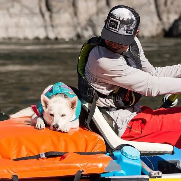 Tala lays sadly on a pAco pad on a raft behind human rowing the raft on a river.