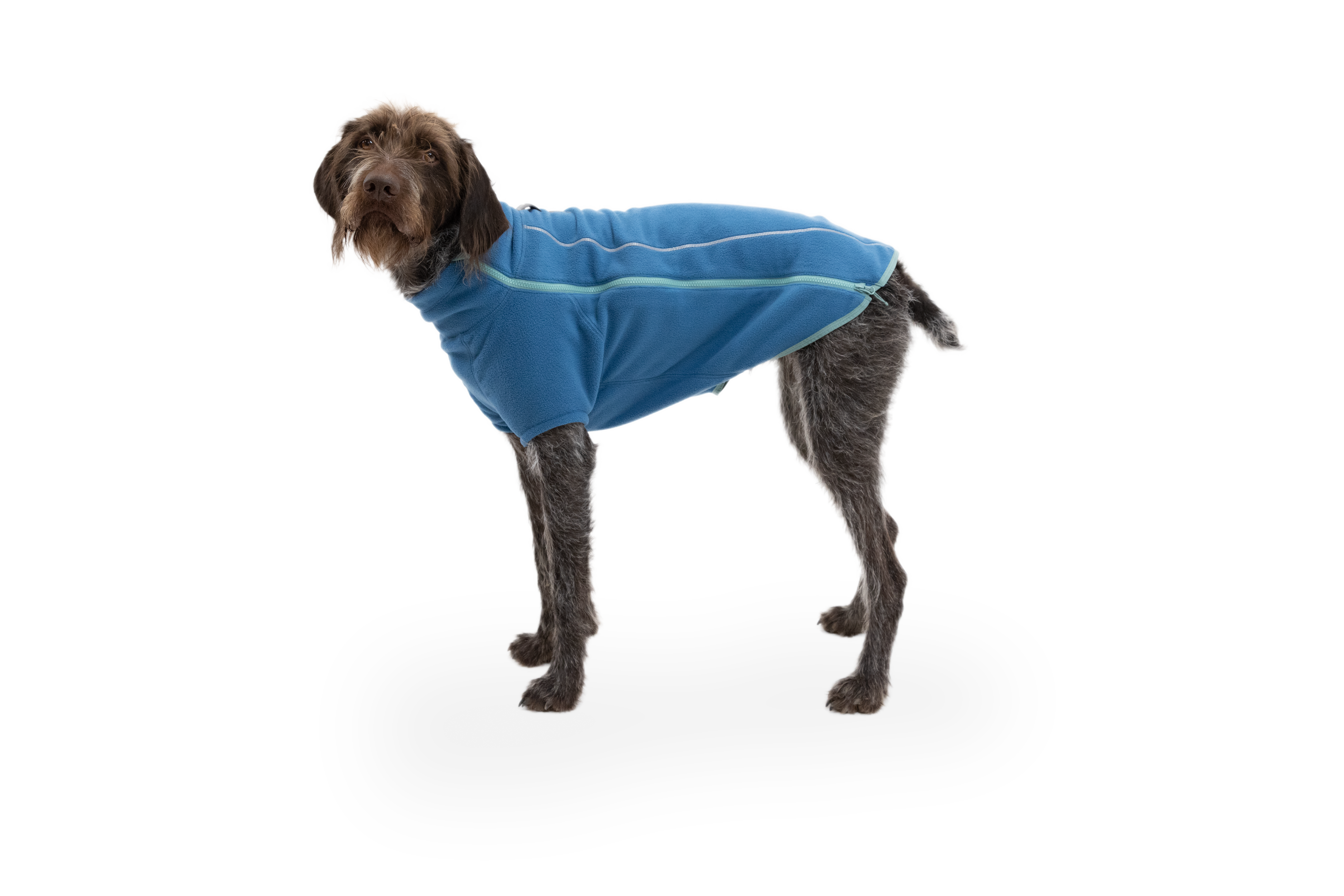 Climate Changer™ Dog Fleece Sweater | Ruffwear JAPAN