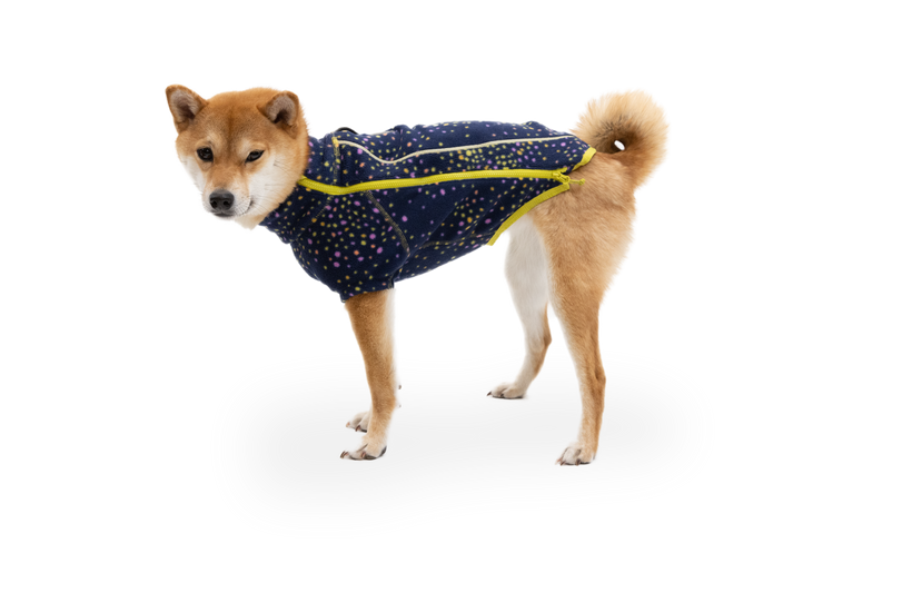 Galaxy