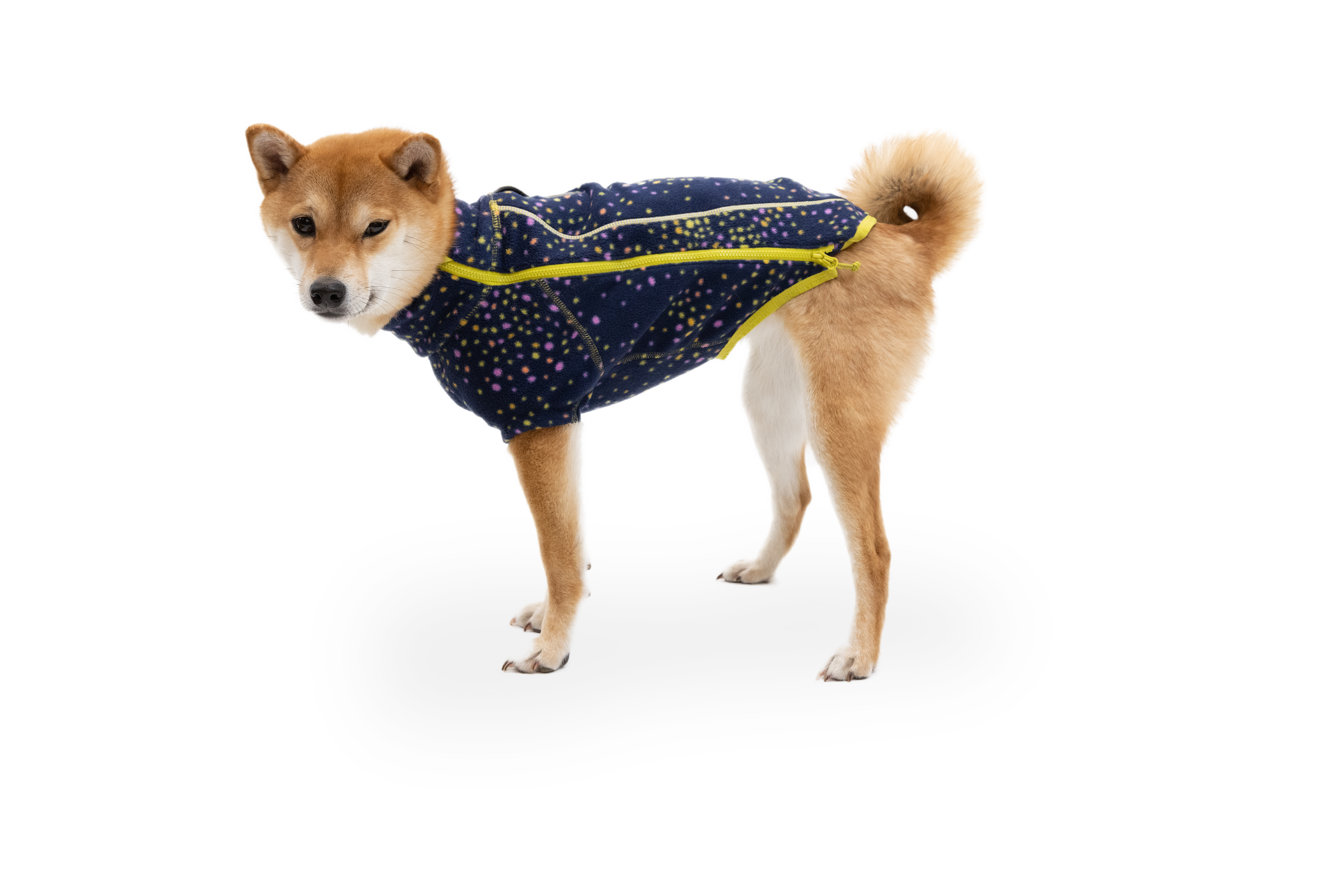Climate Changer™ Dog Fleece Sweater | Ruffwear JAPAN Climate Changer™ Dog Fleece Sweater | Ruffwear JAPAN
