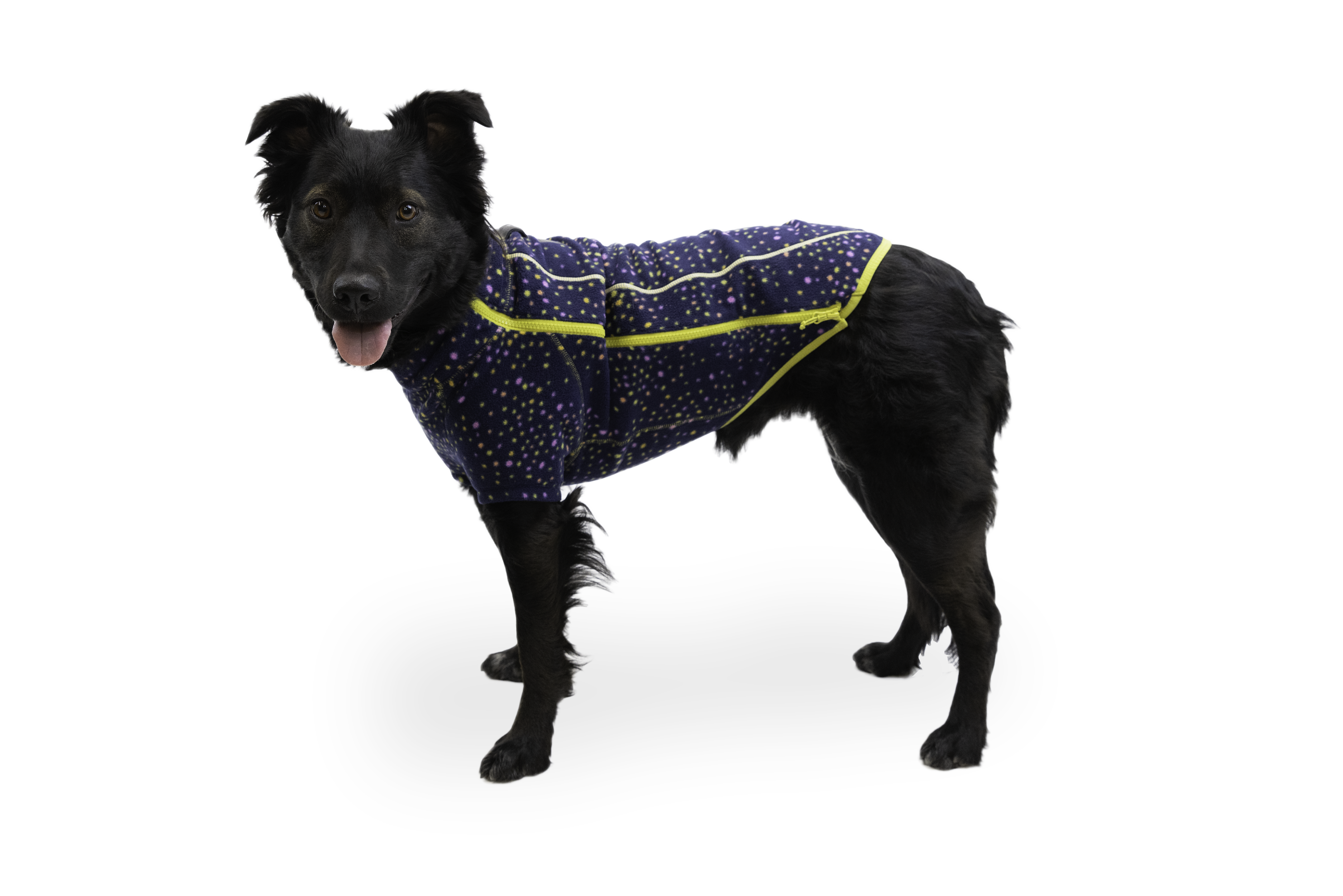 Climate Changer™ Dog Fleece Sweater | Ruffwear JAPAN
