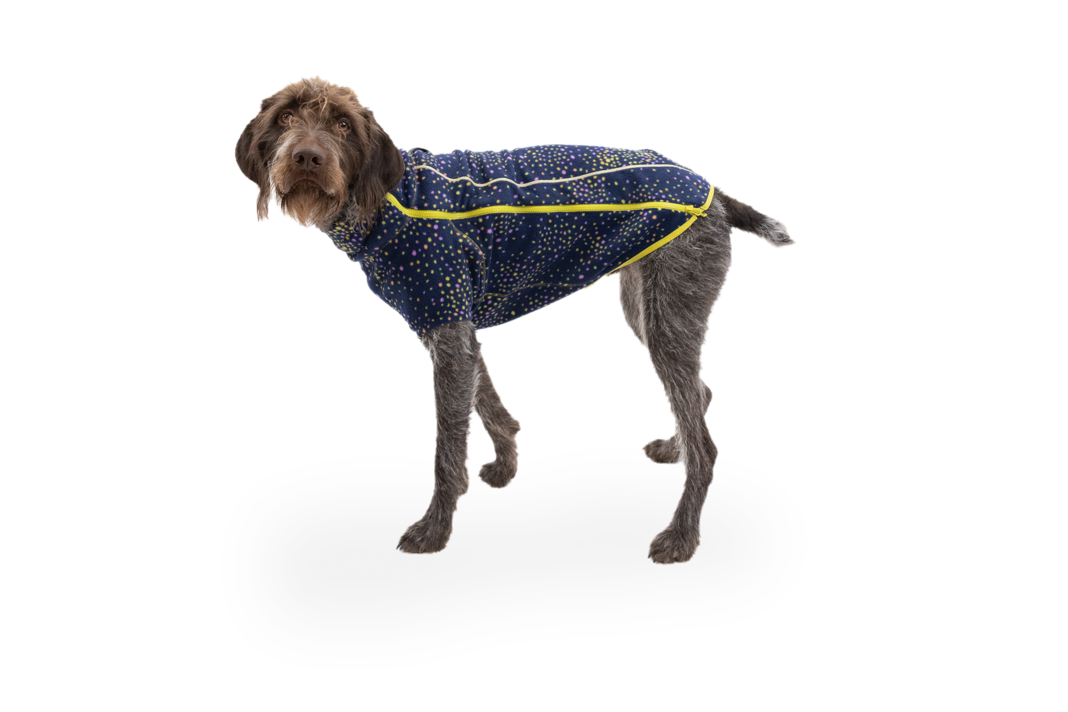 Climate Changer™ Dog Fleece Sweater | Ruffwear JAPAN Climate Changer™ Dog Fleece Sweater | Ruffwear JAPAN