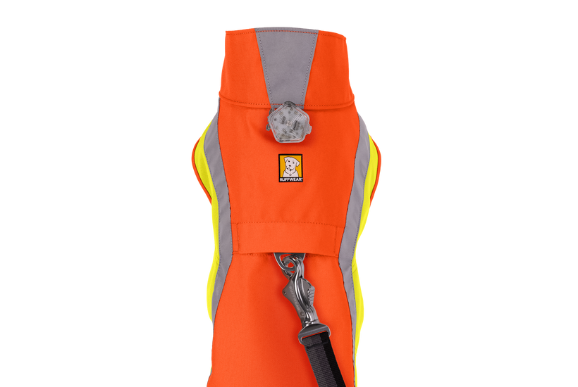 Blaze Orange