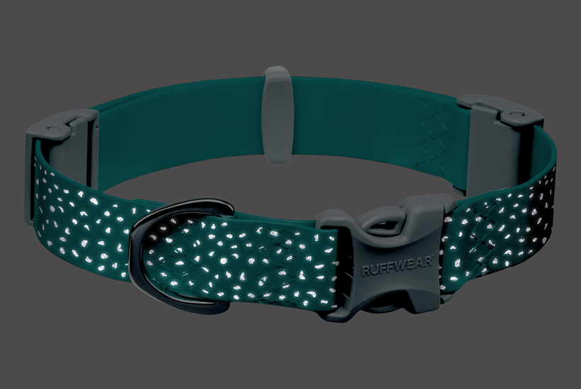 Aurora Teal