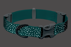 Aurora Teal