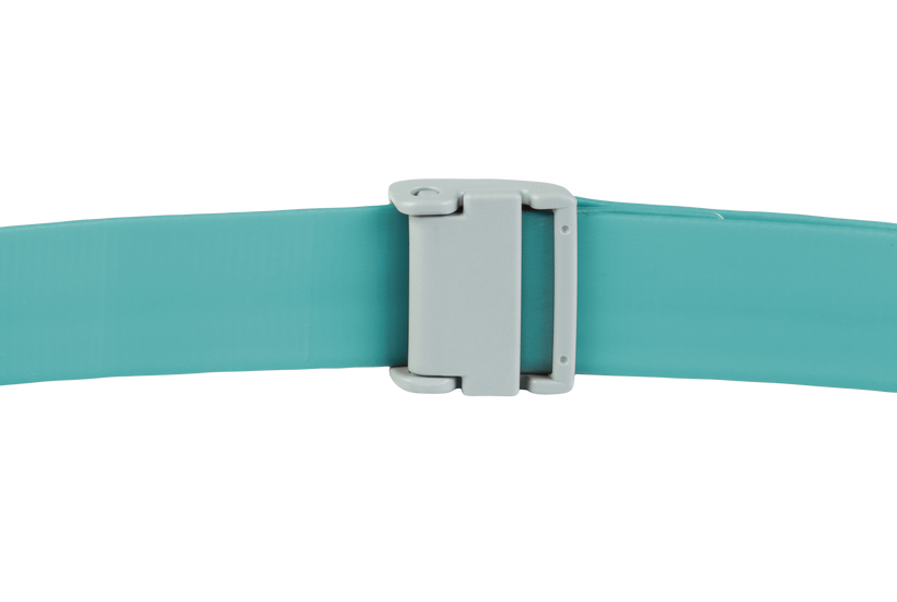 Aurora Teal