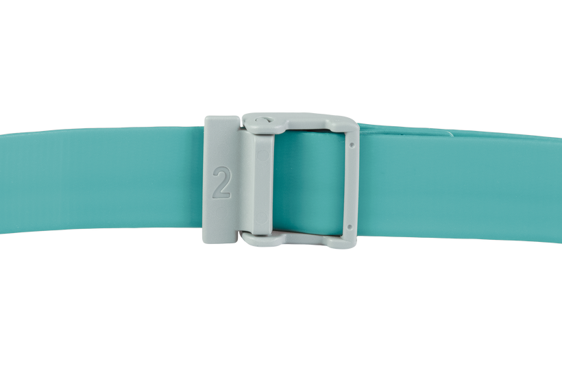Aurora Teal