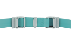 Aurora Teal