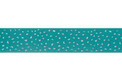 Aurora Teal