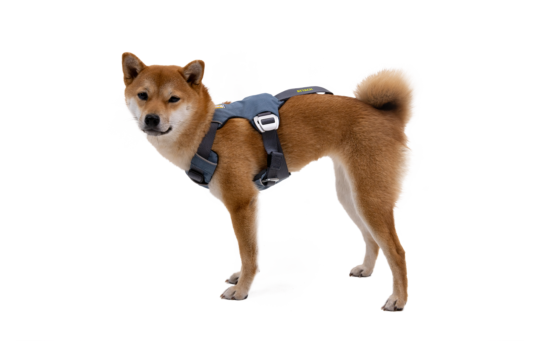 RUFFWEAR ラフウエア　ロードアップハーネス XXS ロードアップハーネス 衝突試験済み、強度評価済み | Ruffwear JAPAN