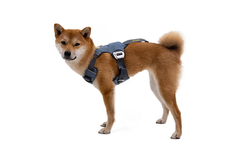 ロードアップハーネス 衝突試験済み、強度評価済み | Ruffwear JAPAN ロードアップハーネス 衝突試験済み、強度評価済み | Ruffwear JAPAN