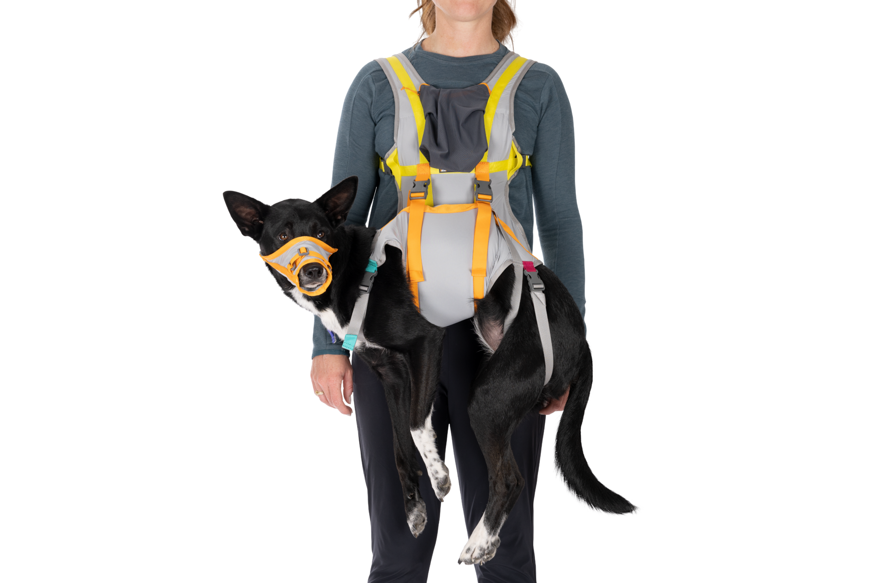 バッグトラックドッグエバキューションキット | Ruffwear JAPAN