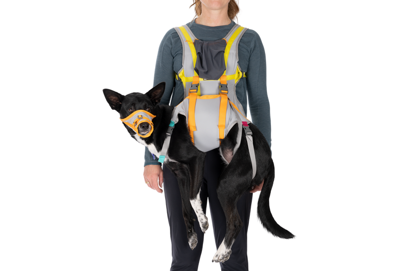 バッグトラックドッグエバキューションキット | Ruffwear JAPAN バッグトラックドッグエバキューションキット | Ruffwear JAPAN